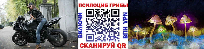 Псилоцибиновые грибы Cubensis  маркетплейс Telegram  Велиж  купить наркотик 
